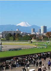 正道シナジー競馬場改修工事